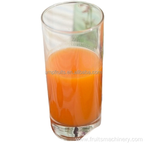 Automatic carrot juice extraction machine